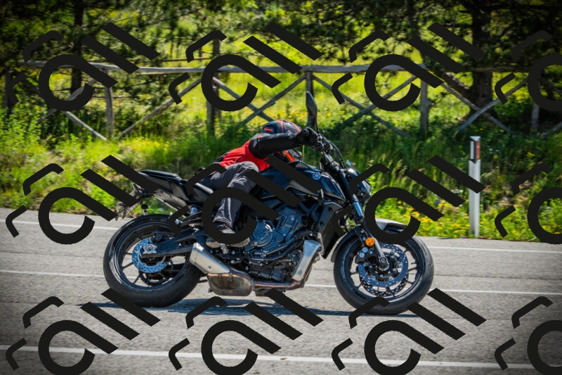 202506021041-DSC03002_c1_