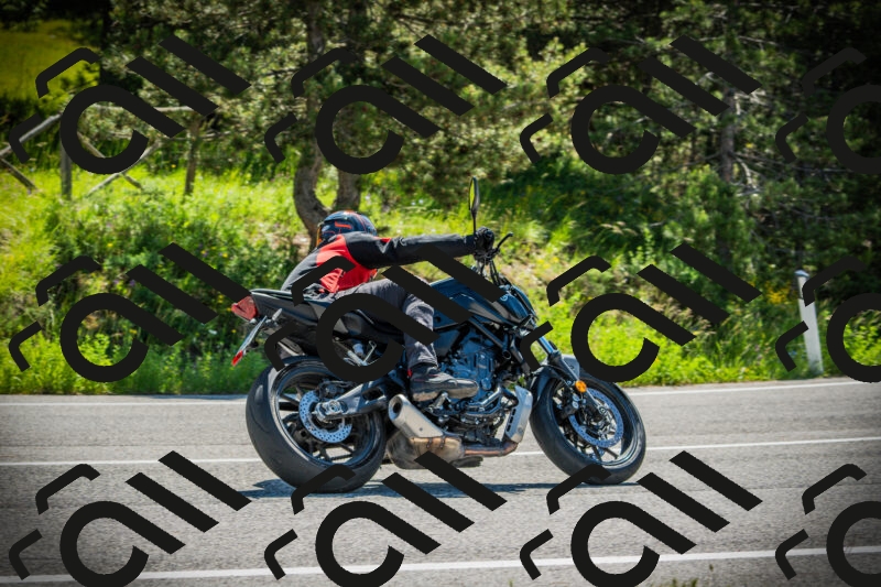 202506021041-DSC03003_c1_