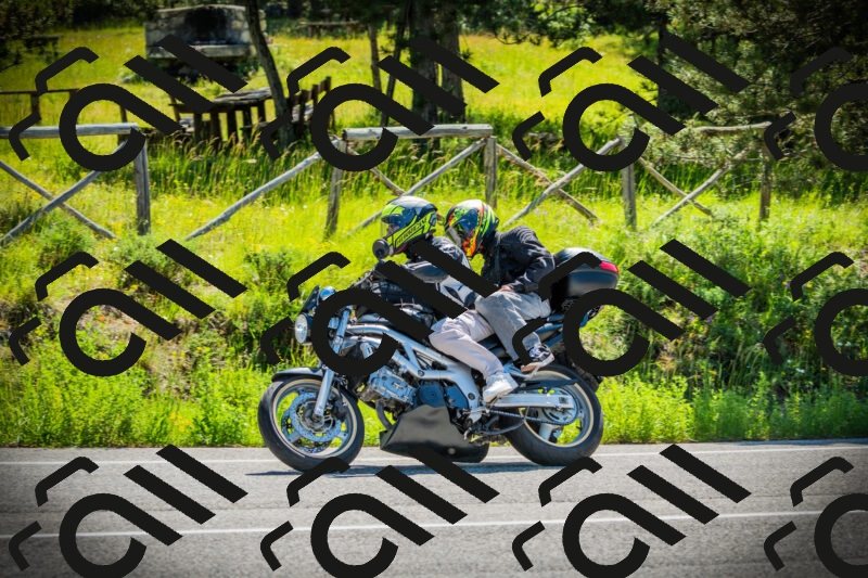 202506021041-DSC03009_c1_