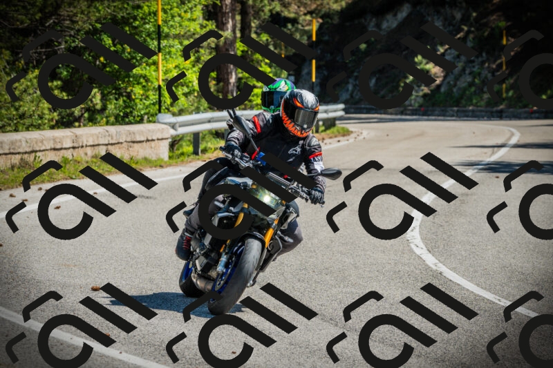 202506021041-DSC03012_c1_