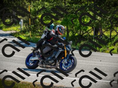 202506021041-DSC03013_c1_