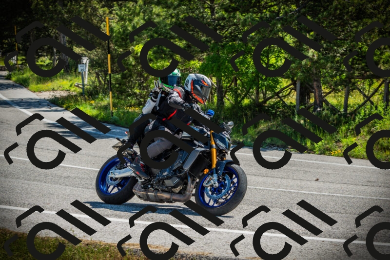 202506021041-DSC03013_c1_