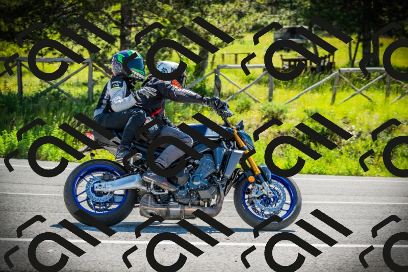 202506021041-DSC03014_c1_