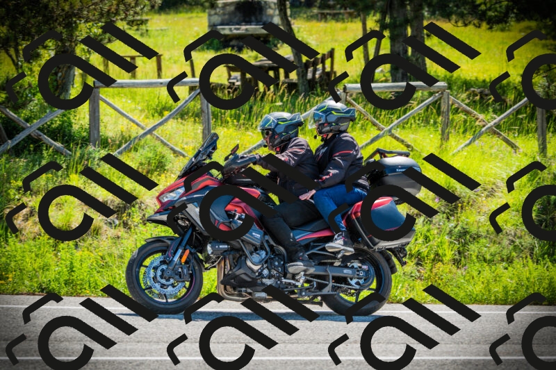 202506021041-DSC03015_c1_