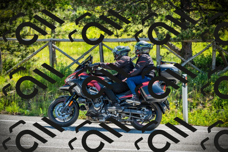 202506021041-DSC03016_c1_