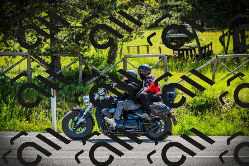 202506021041-DSC03017_c1_