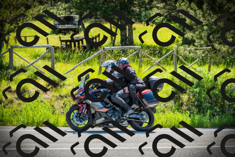 202506021041-DSC03019_c1_