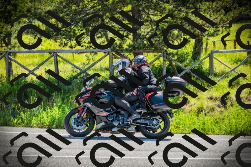 202506021041-DSC03020_c1_