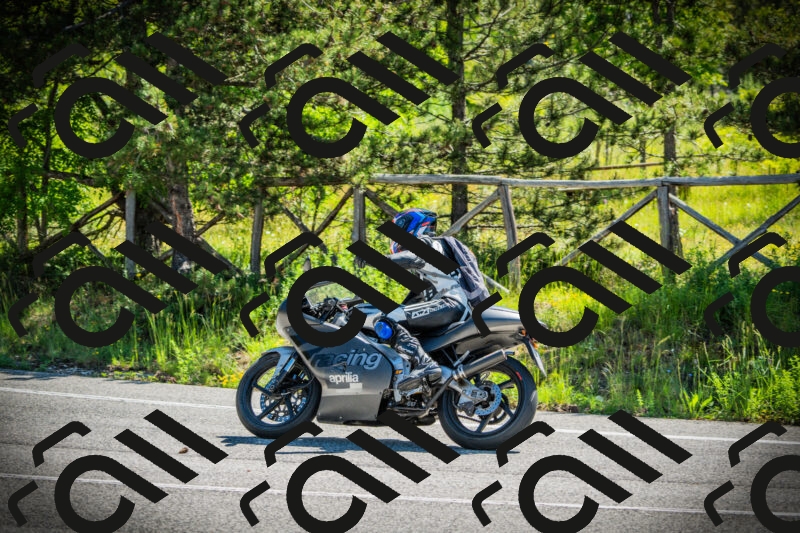 202506021041-DSC03022_c1_