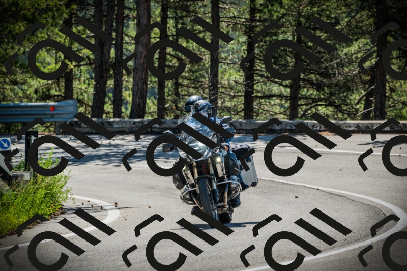 202506021043-DSC03024_c1_