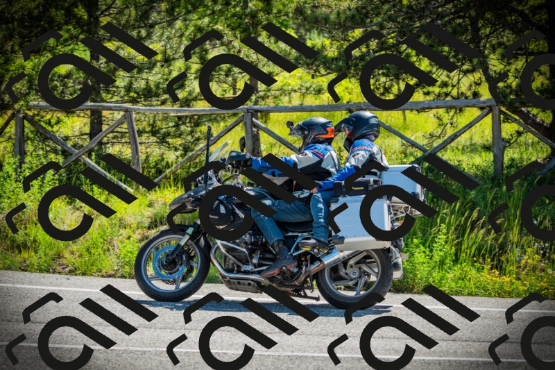 202506021043-DSC03028_c1_