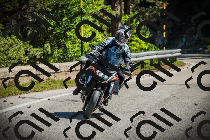 202506021044-DSC03030_c1_