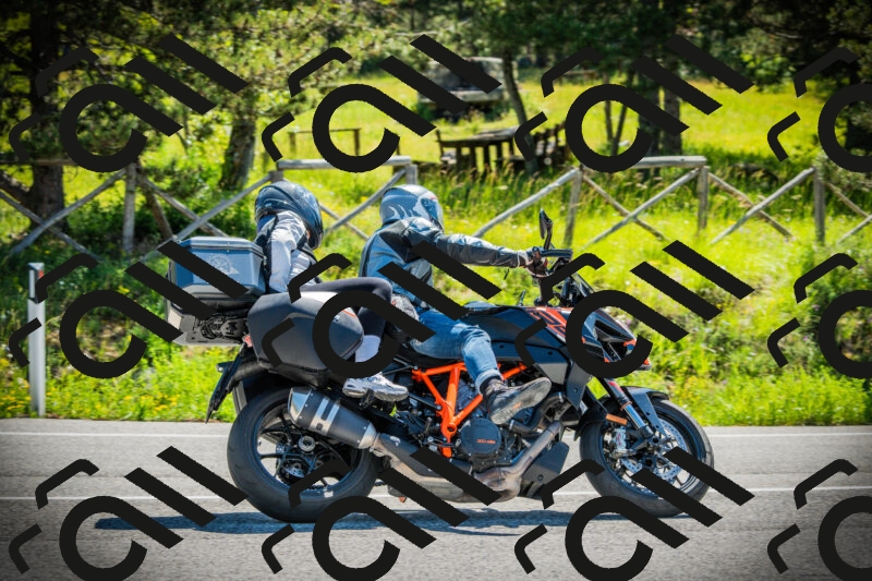 202506021044-DSC03033_c1_