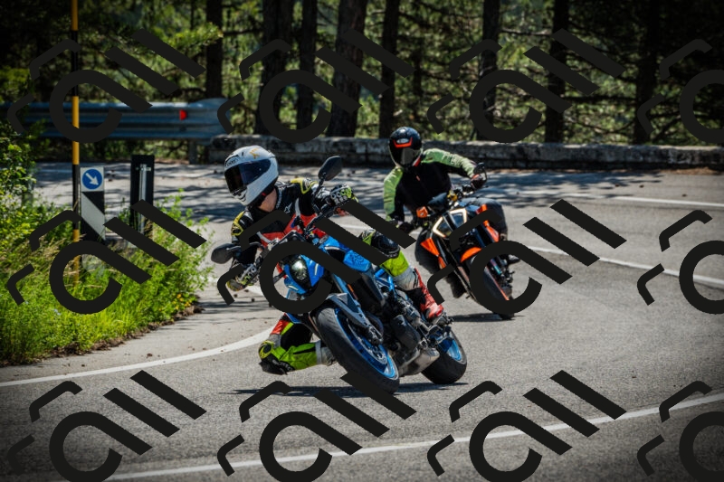 202506021045-DSC03036_c1_