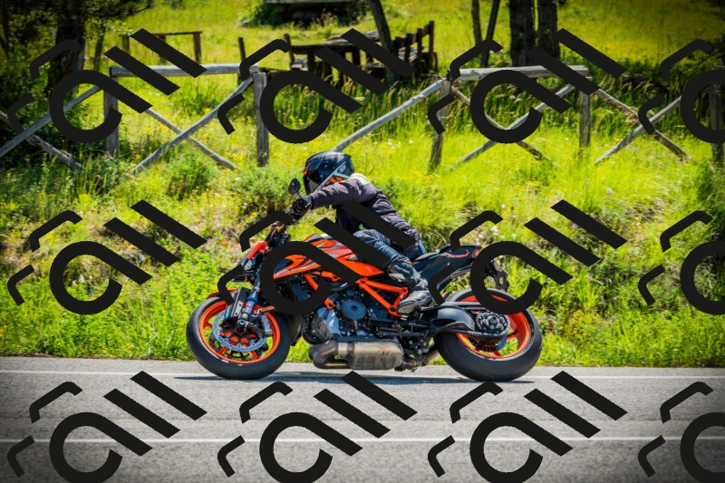 202506021045-DSC03038_c1_