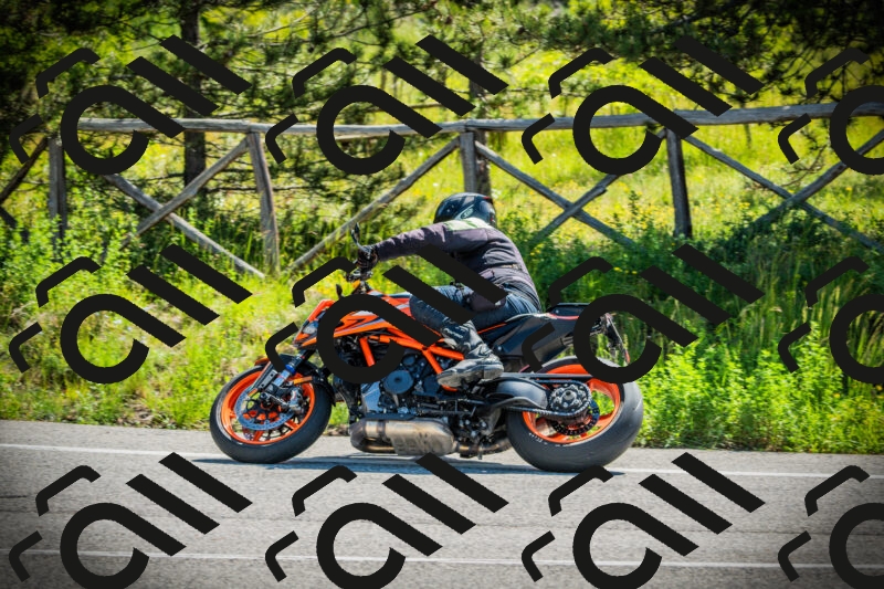 202506021045-DSC03039_c1_