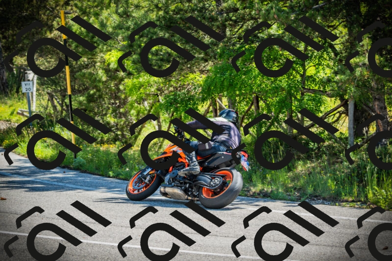 202506021045-DSC03040_c1_