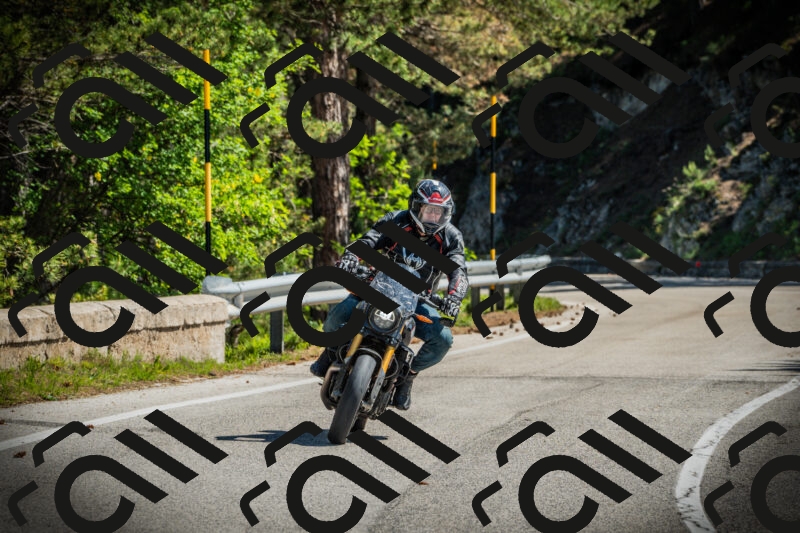 202506021045-DSC03041_c1_