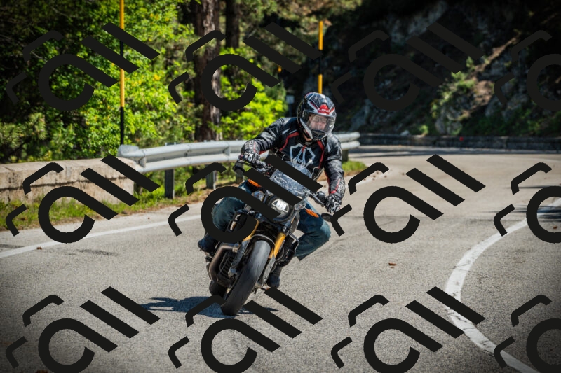 202506021045-DSC03042_c1_