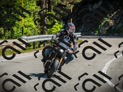 202506021045-DSC03042_c1_