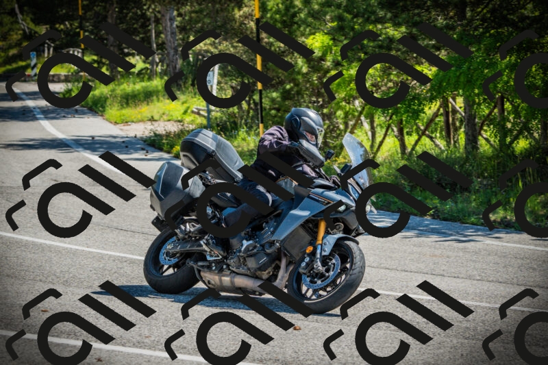 202506021046-DSC03049_c1_