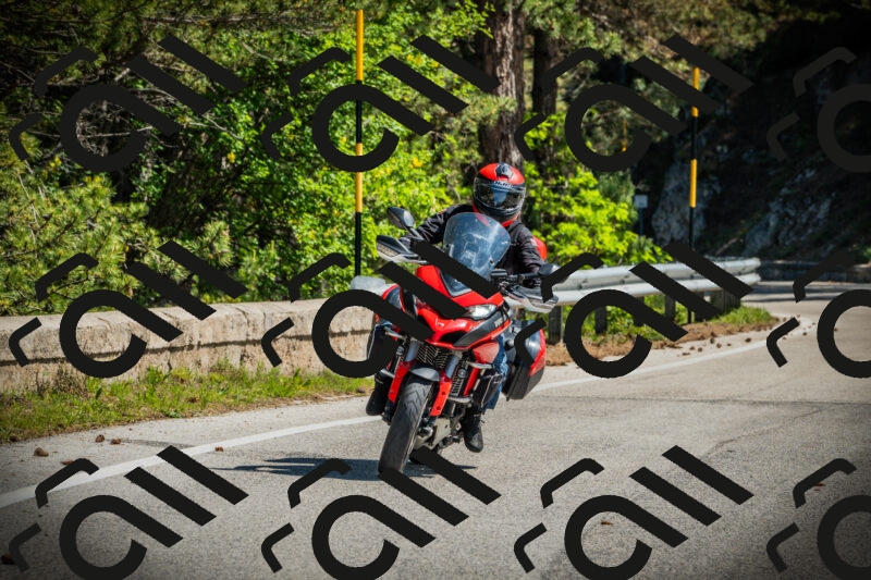 202506021046-DSC03070_c1_