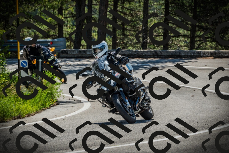 202506021047-DSC03078_c1_