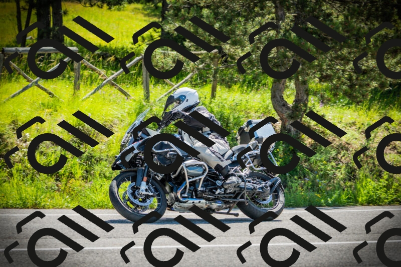 202506021047-DSC03079_c1_