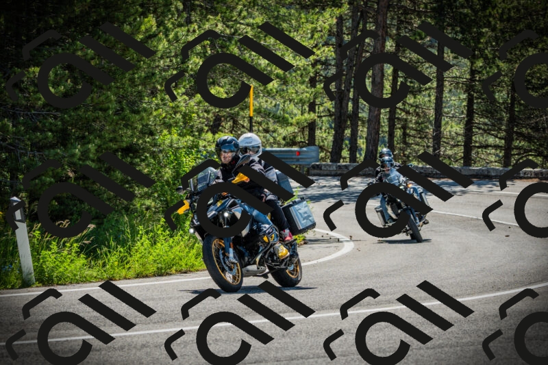 202506021047-DSC03081_c1_