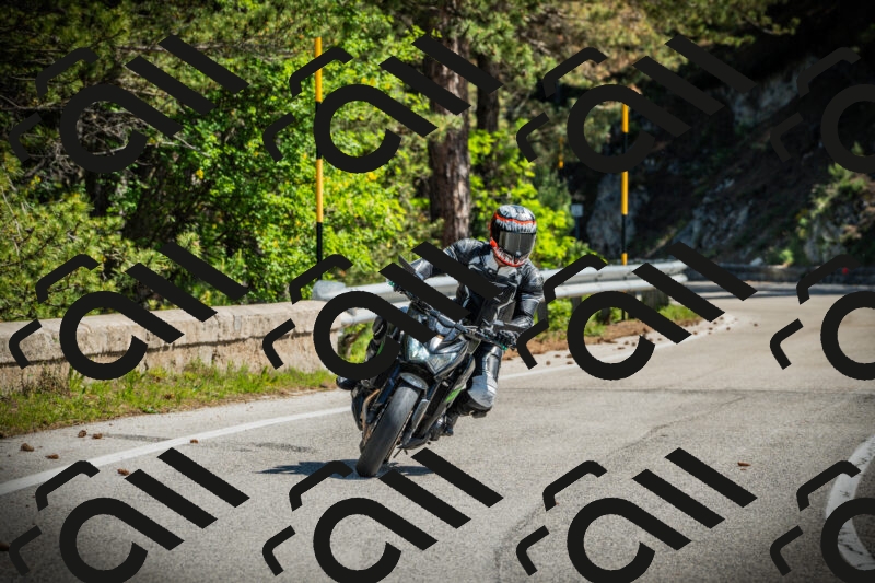 202506021048-DSC03097_c1_