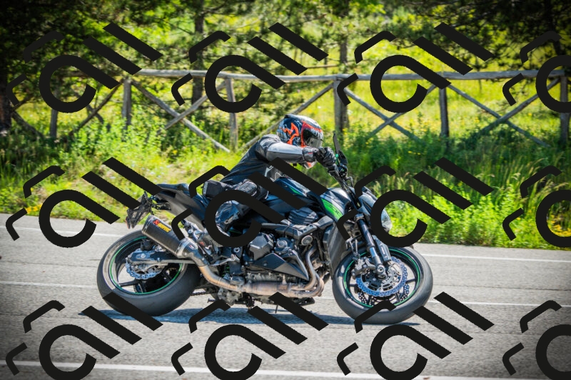 202506021048-DSC03099_c1_