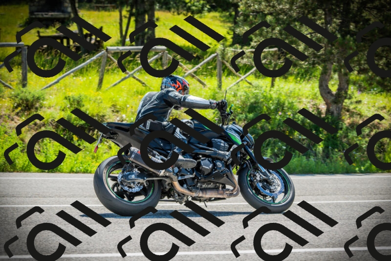 202506021048-DSC03100_c1_