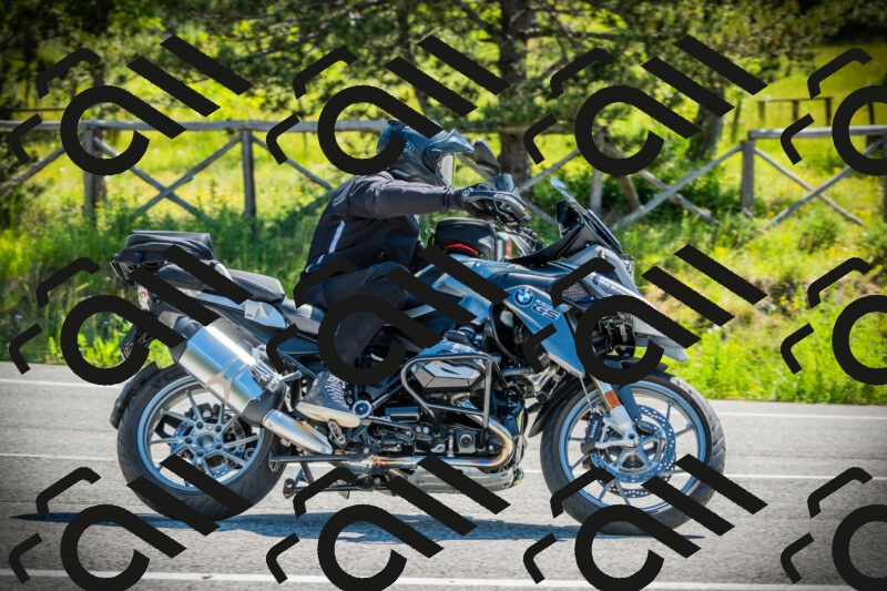 202506021048-DSC03103_c1_