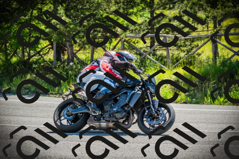 202506021048-DSC03111_c1_