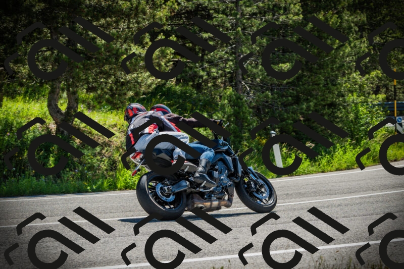 202506021048-DSC03112_c1_