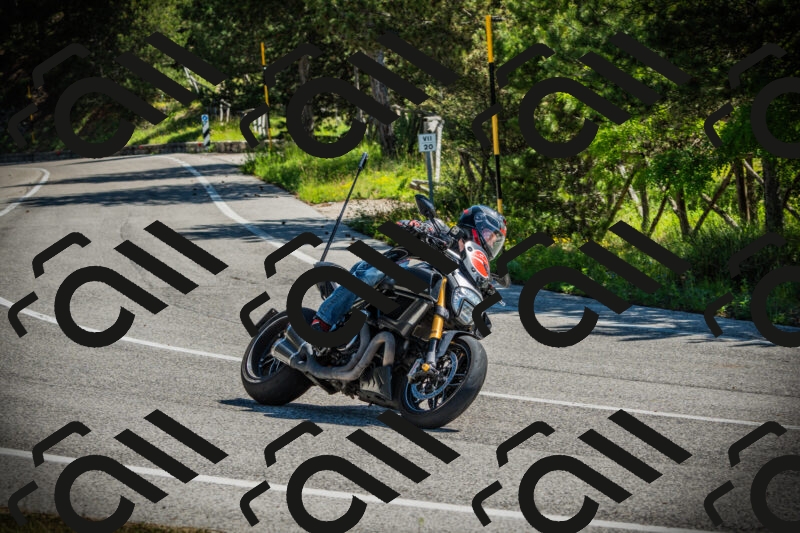 202506021048-DSC03116_c1_