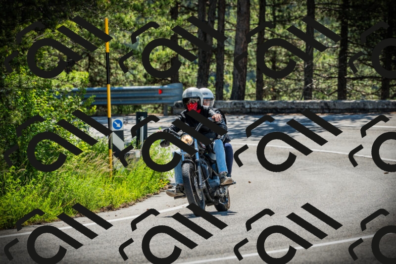 202506021049-DSC03119_c1_