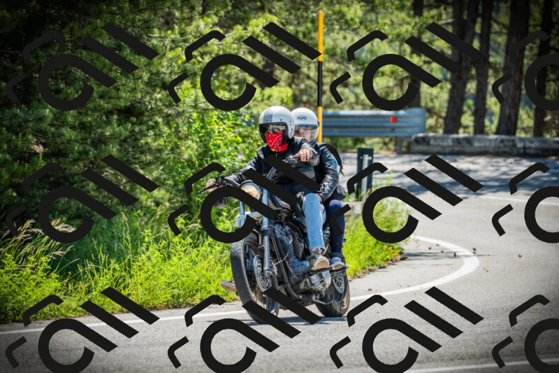 202506021049-DSC03120_c1_