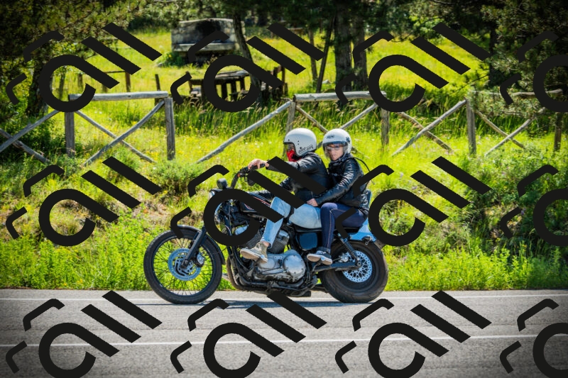 202506021049-DSC03121_c1_