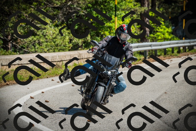 202506021050-DSC03124_c1_