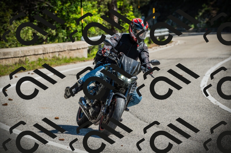 202506021050-DSC03125_c1_