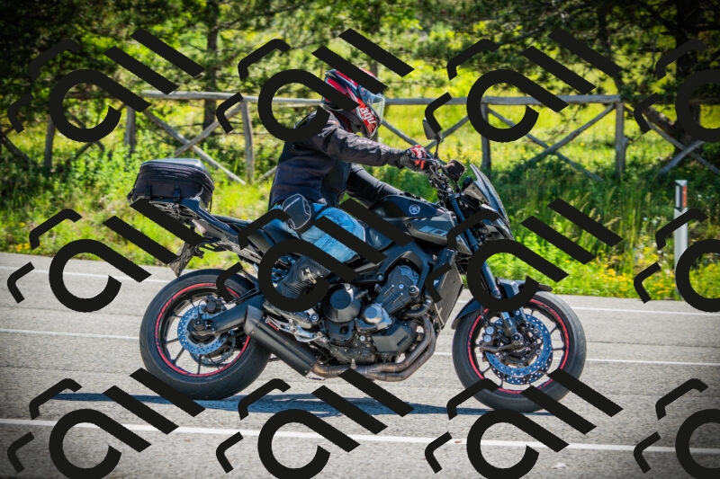 202506021050-DSC03126_c1_