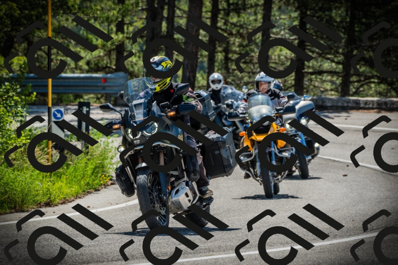 202506021051-DSC03130_c1_