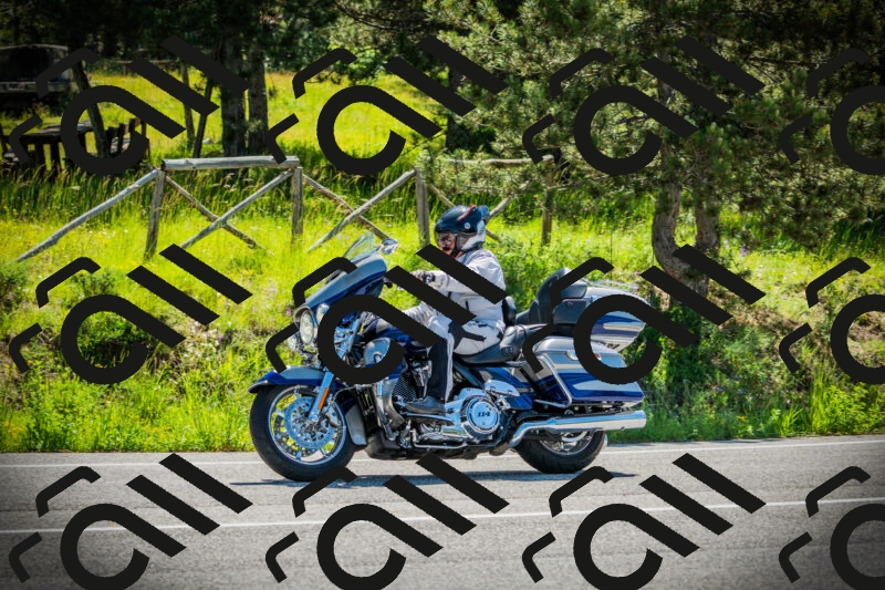 202506021051-DSC03135_c1_