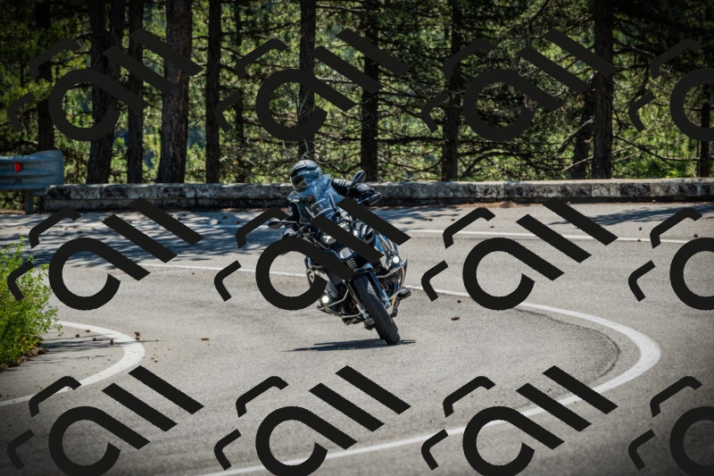 202506021052-DSC03142_c1_