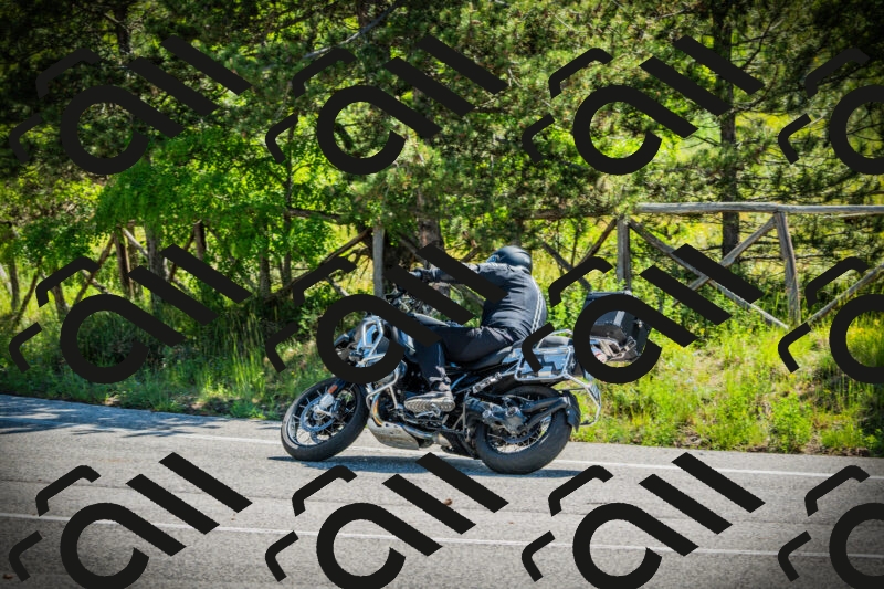 202506021052-DSC03146_c1_