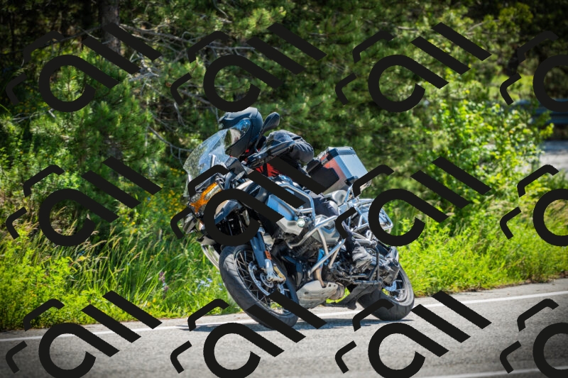 202506021052-DSC03148_c1_