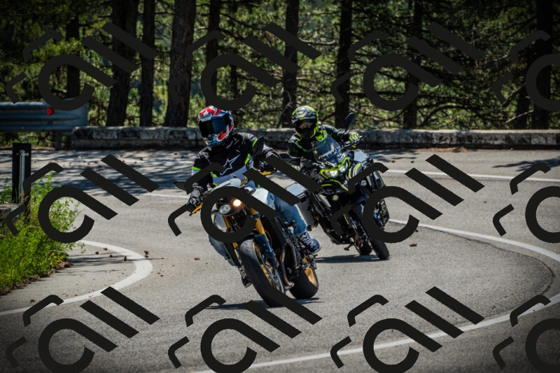 202506021053-DSC03158_c1_