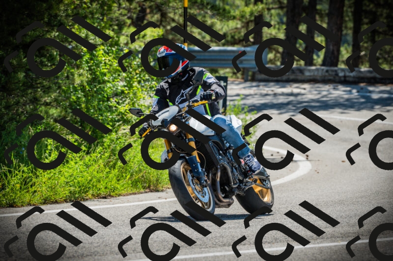 202506021053-DSC03159_c1_