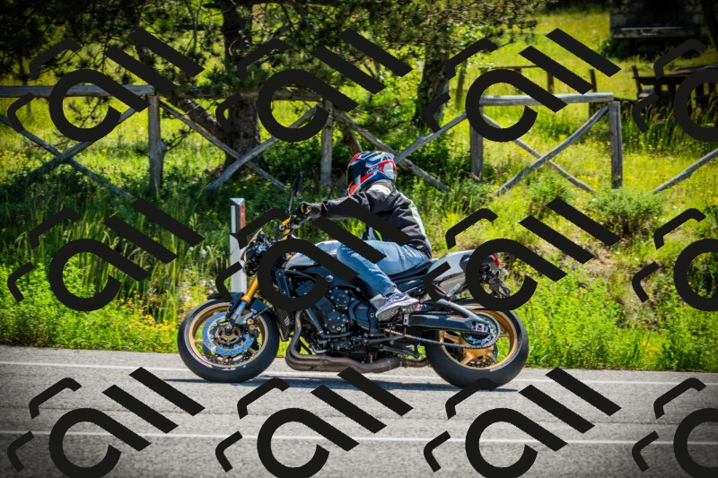 202506021053-DSC03161_c1_